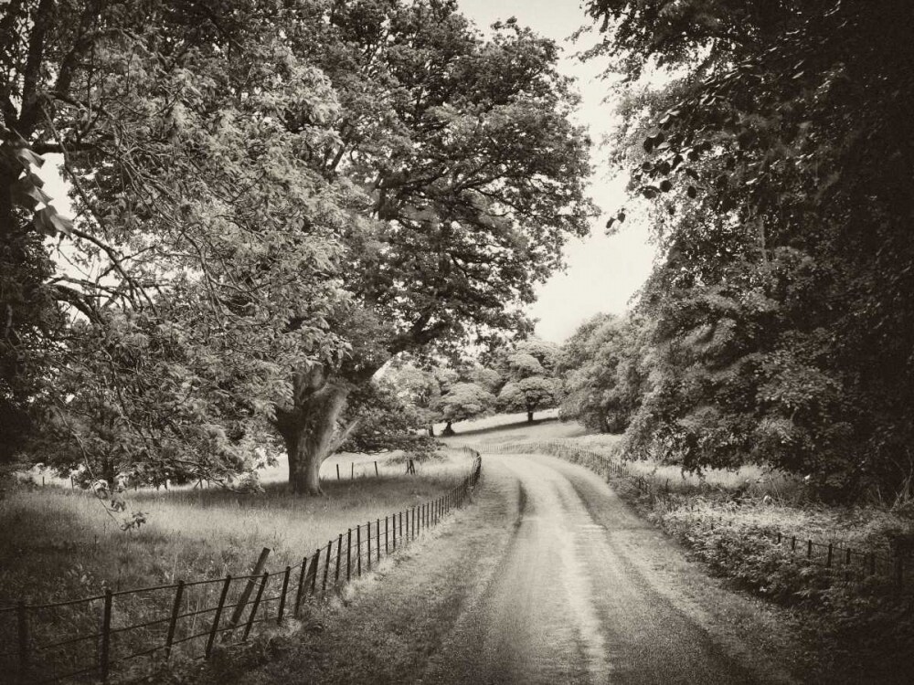Country Roads Poster Print by Janel Pahl - Item # VARPDXPOD5845