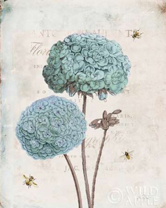 Geranium Study II Poster Print by Katie Pertiet - Item # VARPDX28812