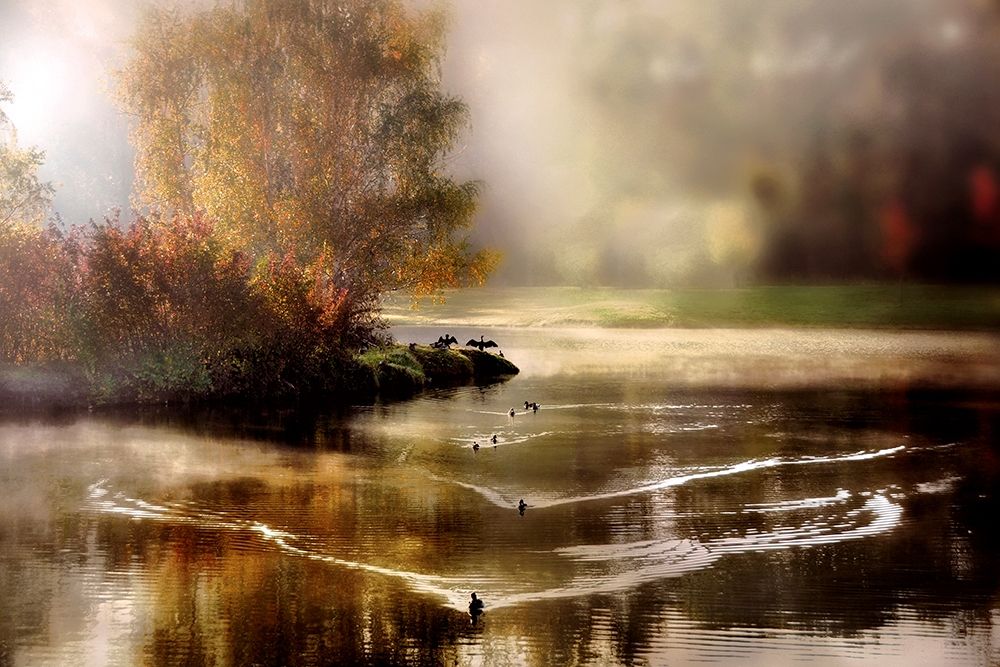 Morning Solace Poster Print by Irene Weisz # 14802