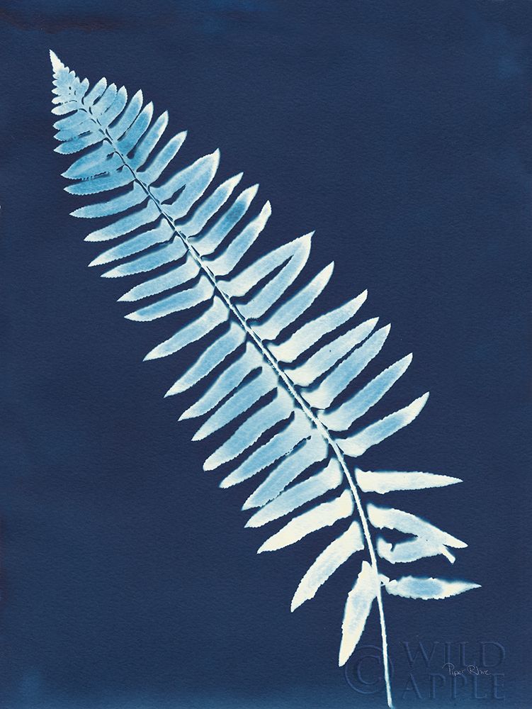Nature By The Lake - Ferns IV Poster Print by Piper Rhue - Item # VARPDX50086