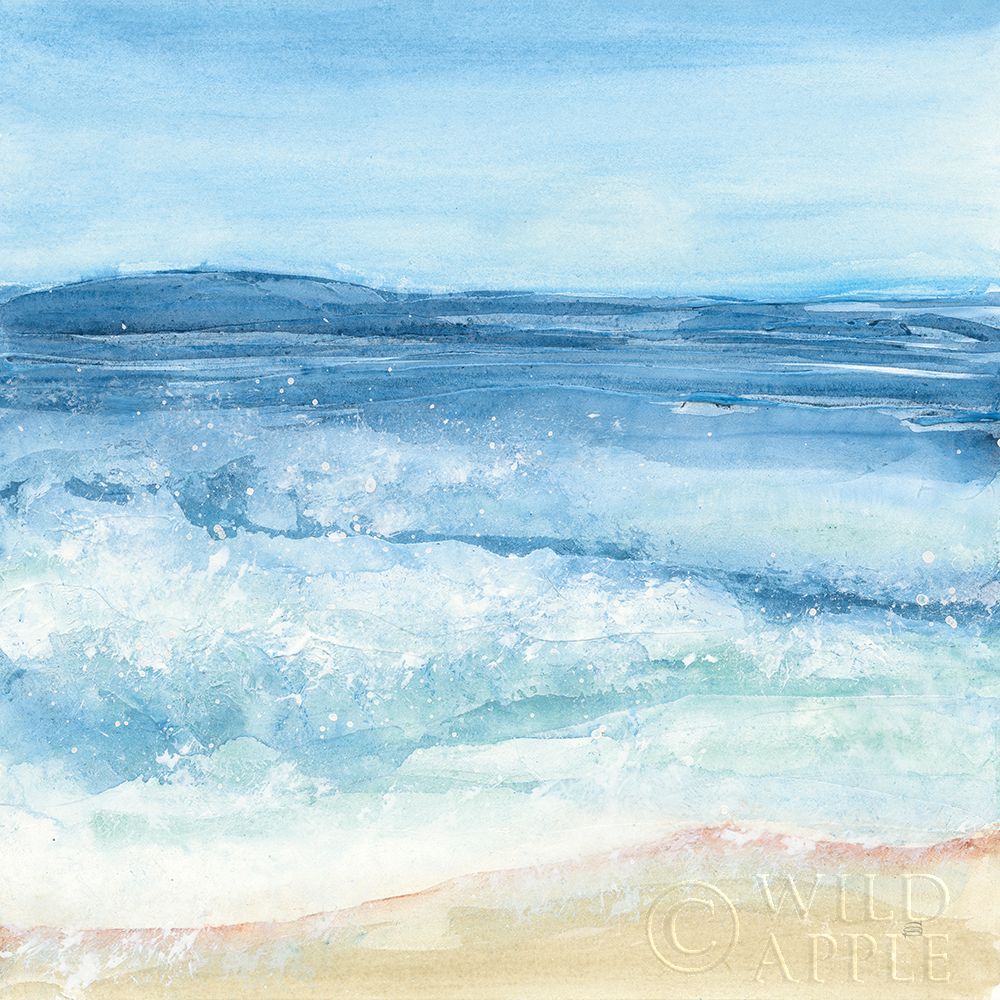 Coastal III Poster Print by Chris Paschke # 65462