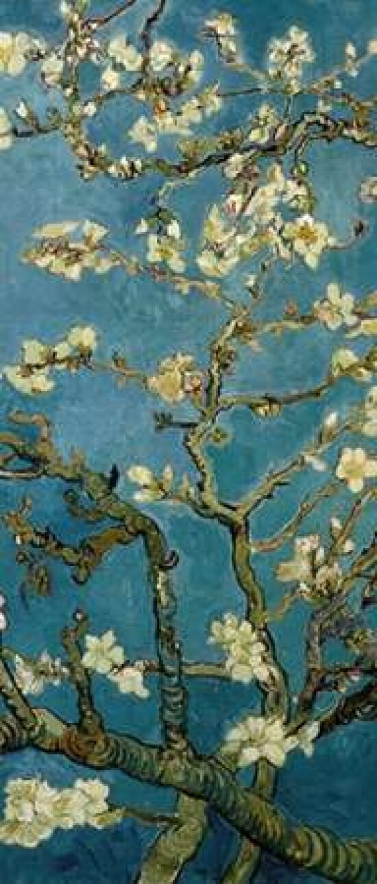 Blossoming Almond Tree - center Poster Print by Vincent Van Gogh - Item # VARPDX394107