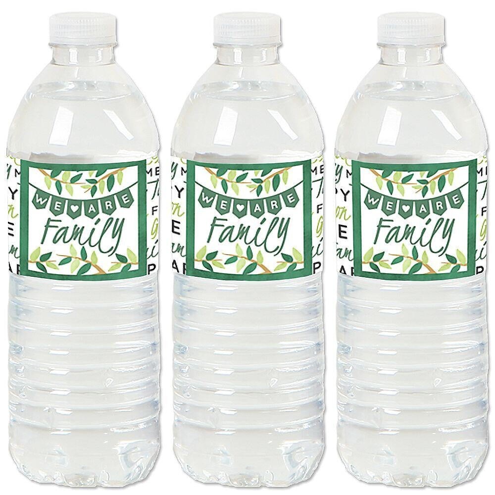 Big Dot of Happiness Family Tree Reunion - Family Gathering Party Water Bottle Sticker Labels - Set of 20