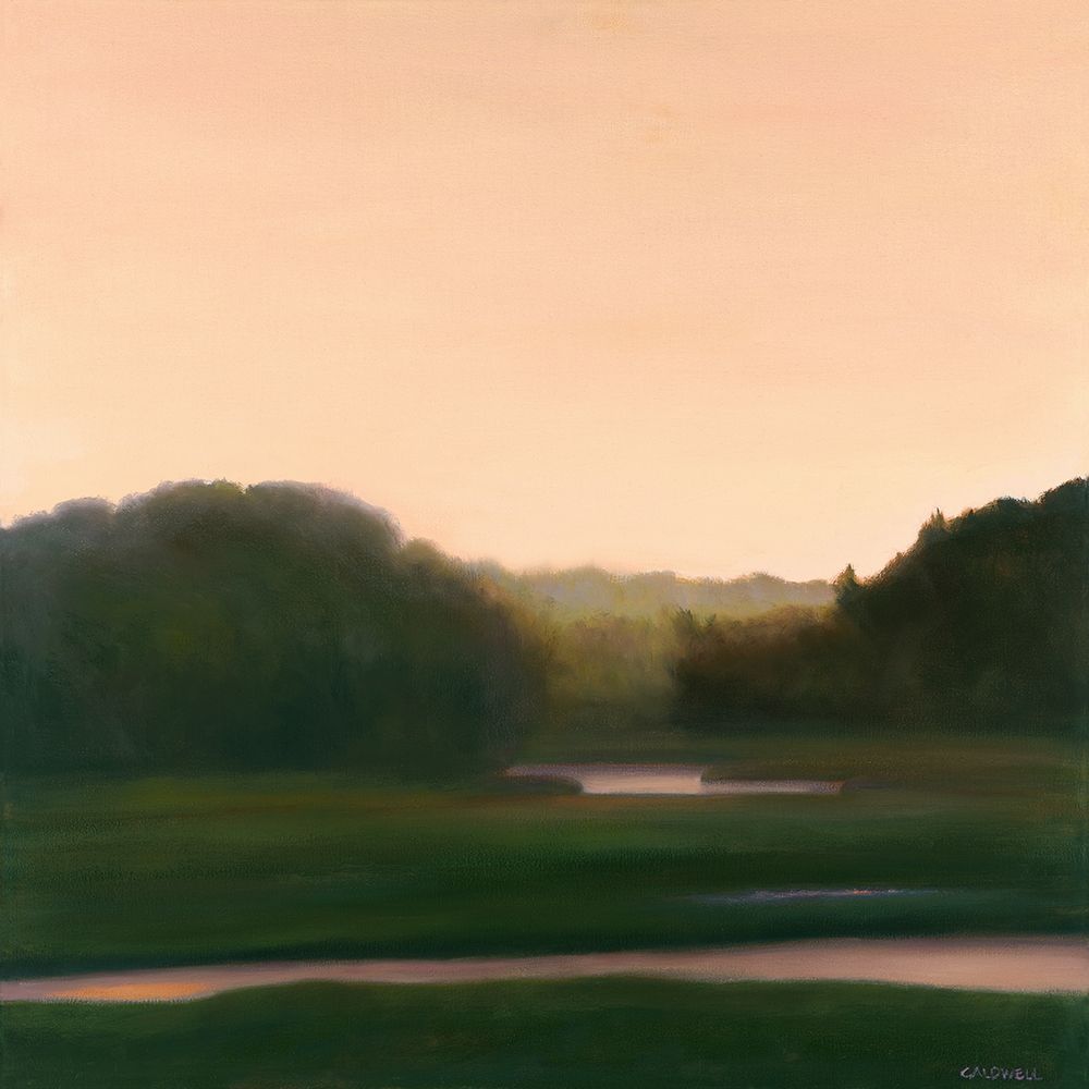 Pink River Poster Print by Carolyn Caldwell - Item # VARPDXC1261D