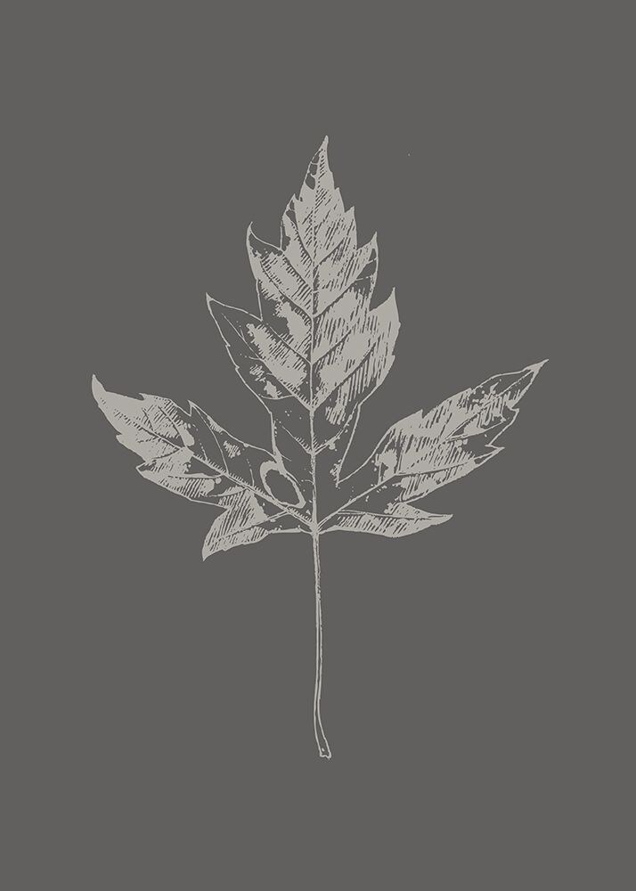 Botanica 5 Poster Print by Design Fabrikken Design Fabrikken - Item # VARPDXMF9691080