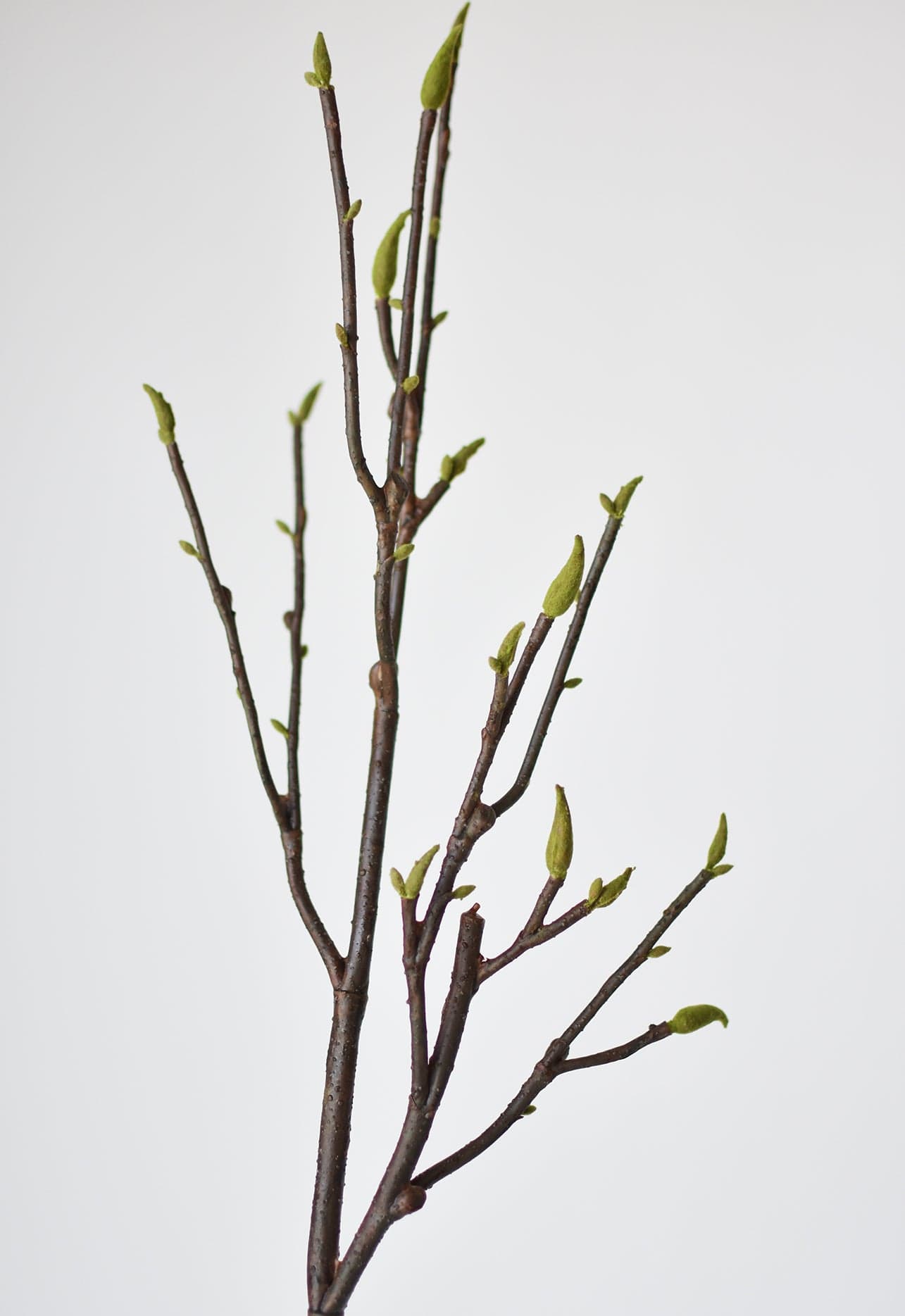 36&#x22; Faux Magnolia Tree Branch Stem