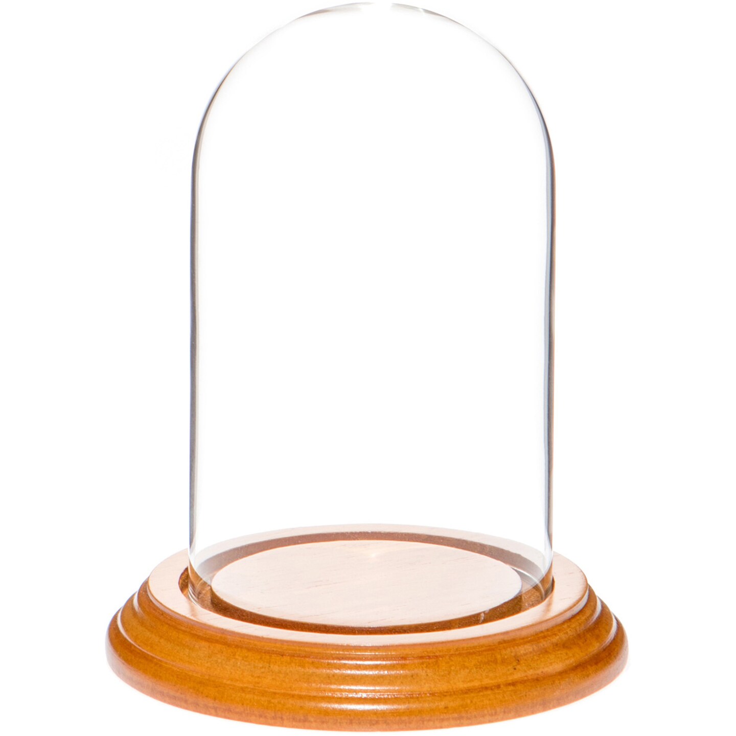 Plymor 3" x 5" Glass Display Dome Cloche Michaels