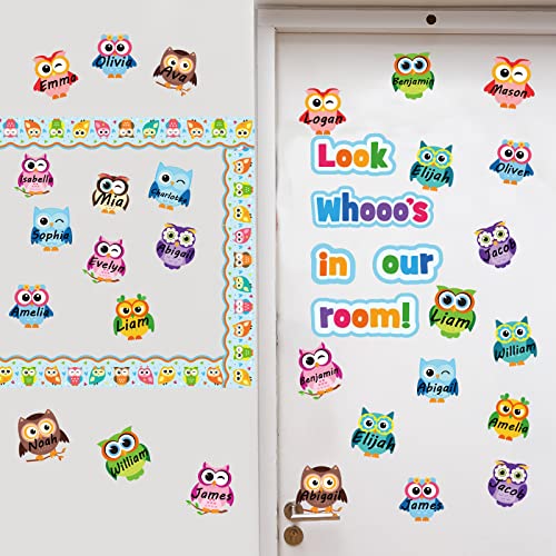 Colorful Owls Bulletin Board Decoration Set - Includes Mix of Owl Borders and Cutouts for Party, School, Classroom Door, Welcome Bulletin Board, Craft, and Home Wall Decor (Look Whooos in Our Room)