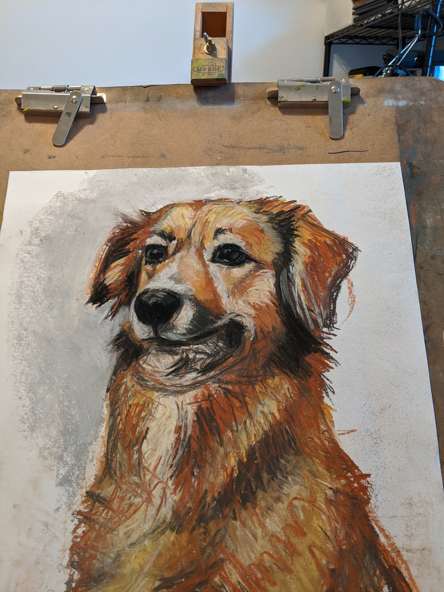 How to draw your pet using prismacolor nupastels image 4