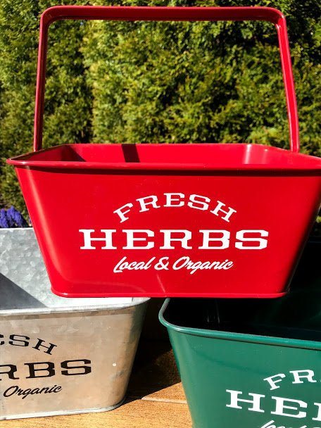 Local &#x26; Organic HERBS Square Metal Planter