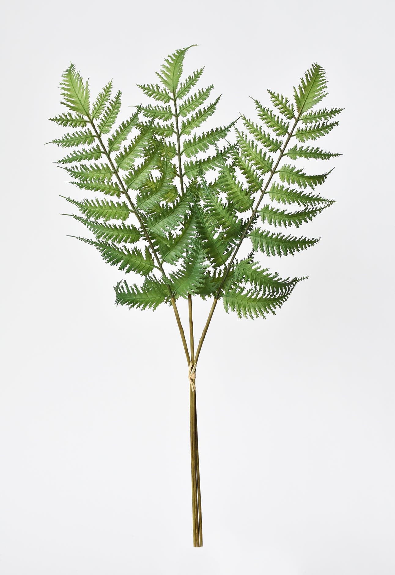 22&#x22; Faux Forest Fern Stem Bundle