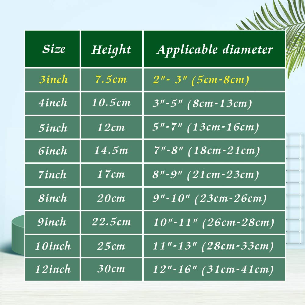 12 Pieces 3 Inch Clear Plastic Easels or Stand/Plate Holders to Display Pictures or Other Items at Weddings, Home Decoration, Birthdays, Tables