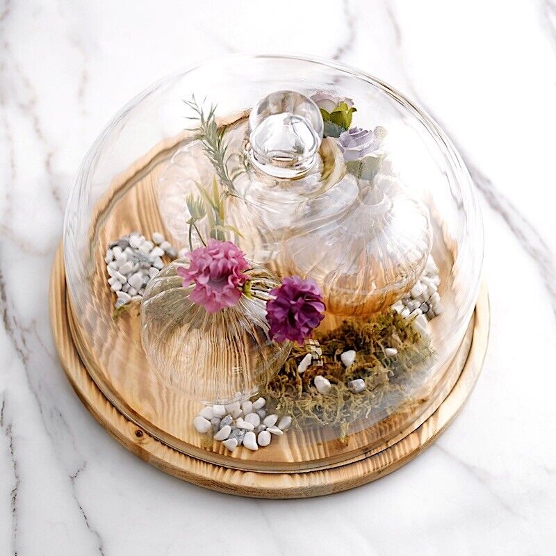 8-Inch Clear Natural Glass Cloche Display Dome Wooden Base CAKE STAND