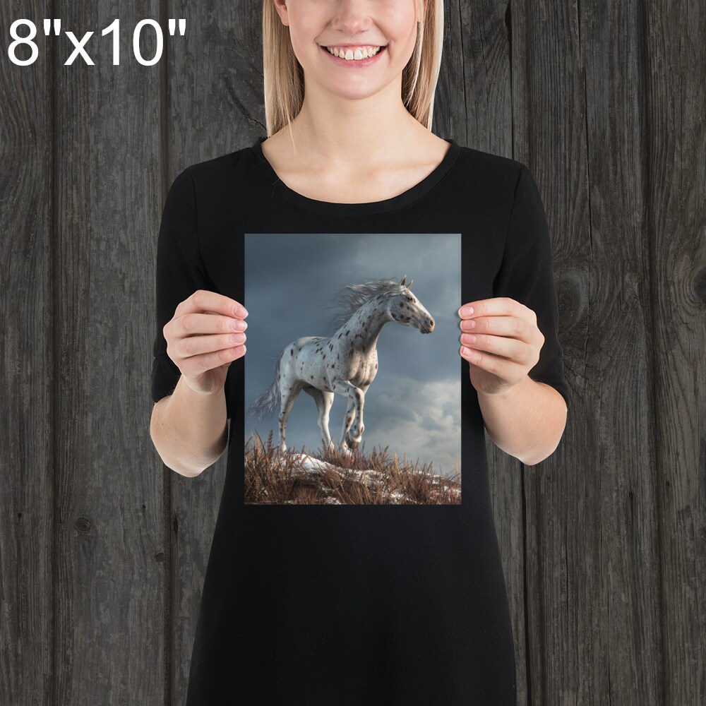 Wild Appaloosa in Winter - Print - Horse Themed Art product 3