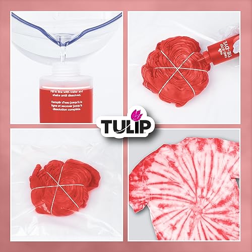 One-Step Tie-Dye Kit Tulip Fabric Dye