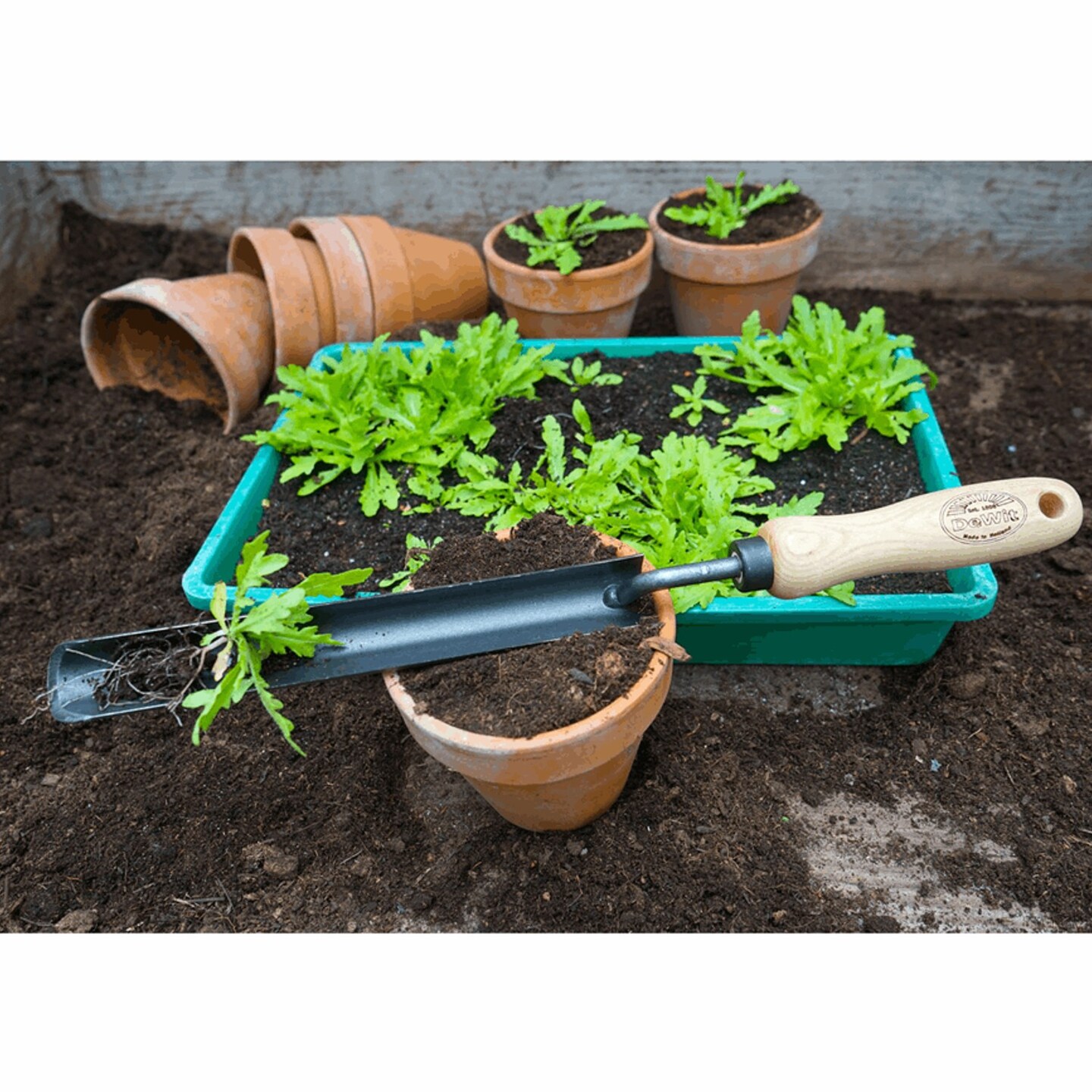 DeWit Dutch Transplanter - Thumbnail 5