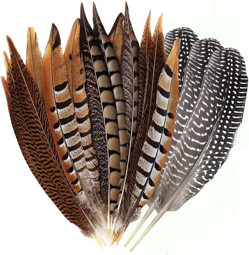 Natural Pheasant Feathers 4 Style 15-20cm 12pcs Natural Feathers for DIY Craft Home Party Decorations FF03