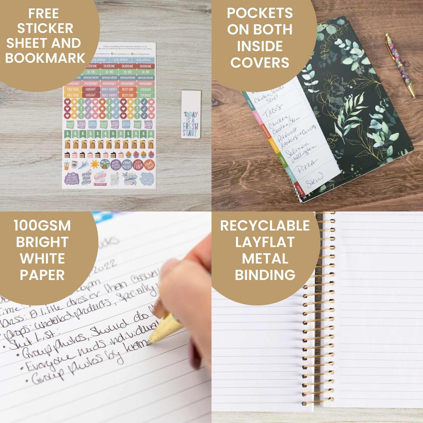 bloom daily planners 2024-25 Soft Cover Planner, 8.5" x 11", Eucalyptus, Green