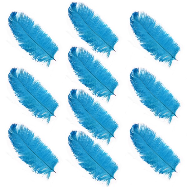 10 pieces Costume Grade Natural Ostrich Feathers