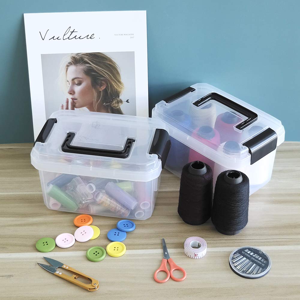 4 Pieces 2 L Clear Mini Plastic Storage Box, Tiny Clear Storage Bin