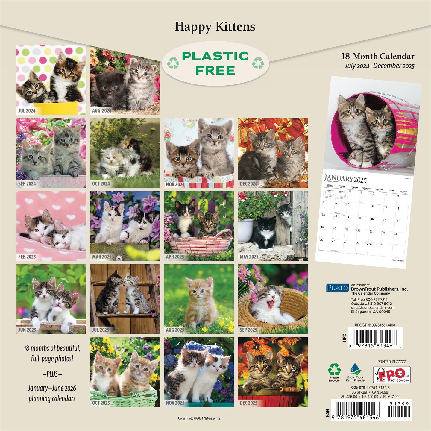 Happy Kittens | 2025 12 x 24 Inch 18 Months Monthly Square Wall Calendar | July 2024 - December 2025 | Plastic-Free | Plato | Animals Cats Feline