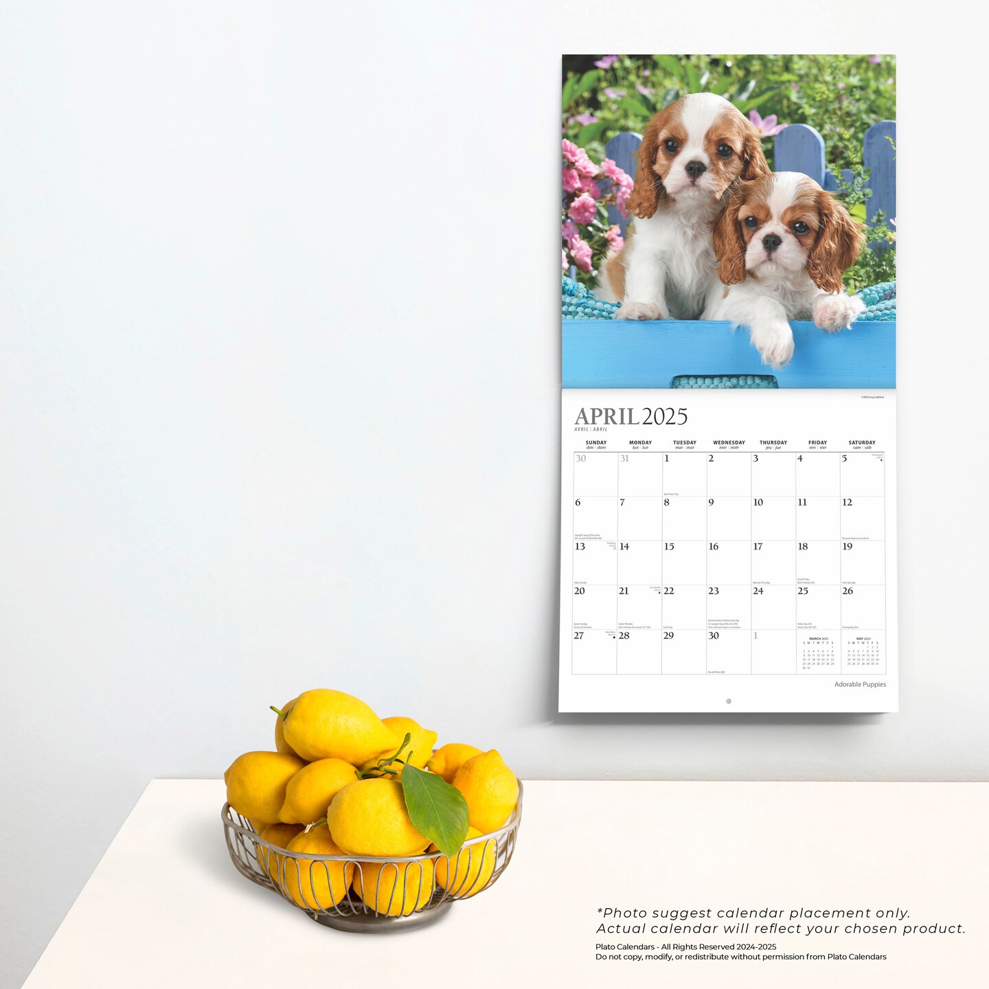 Adorable Puppies | 2025 12 x 24 Inch 18 Months Monthly Square Wall Calendar | July 2024 - December 2025 | Plastic-Free | Plato | Animals Dog Breeds Pets