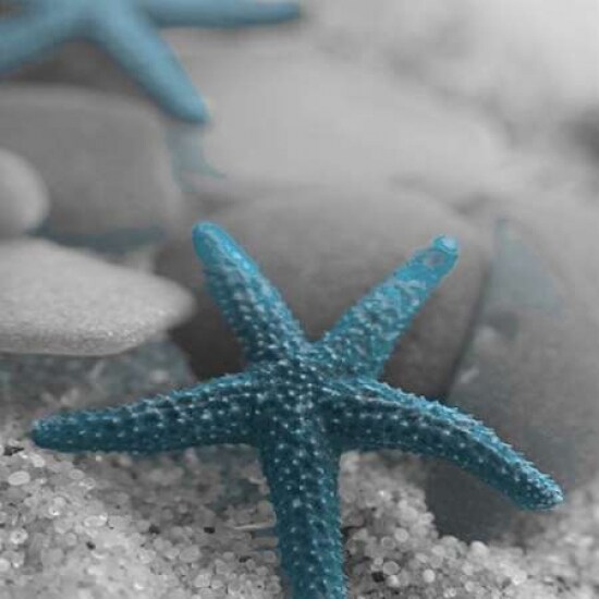 Blue Star Poster Print by Tony Pazan - Item # VARPDXTZSQ026B