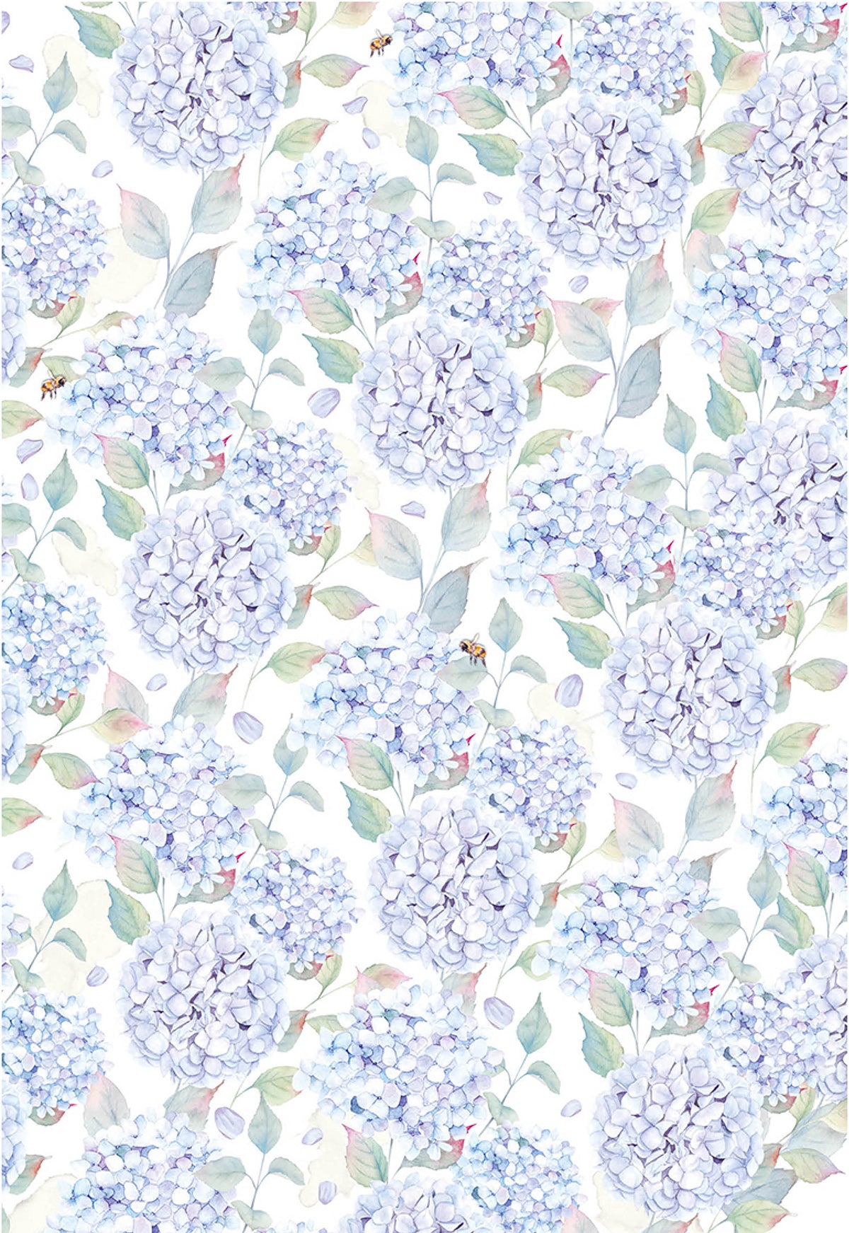 Ciao Bella  Vellum Enchanted Land Paper Patterns A4 6/Pkg