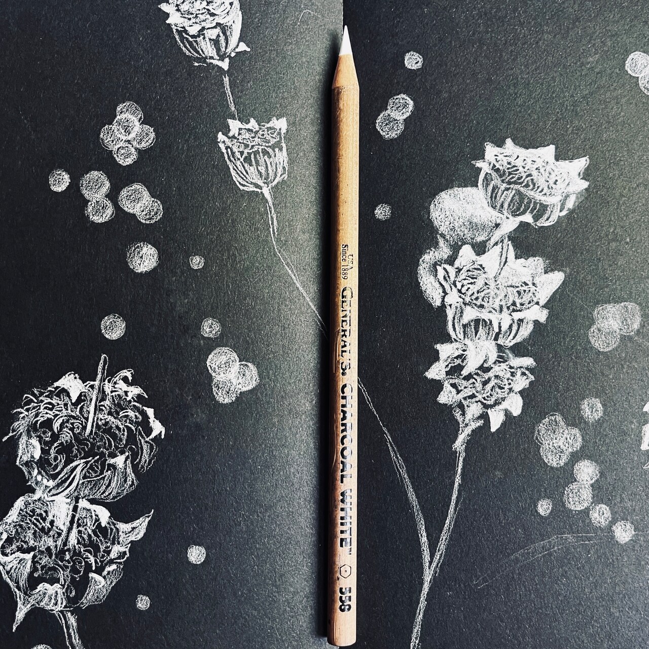 Sketching Flowers in White Charcoal on Black Paper with ...