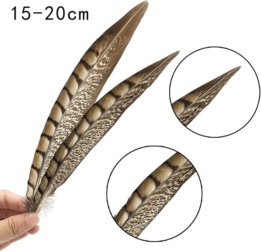 Natural Pheasant Feathers 4 Style 15-20cm 12pcs Natural Feathers for DIY Craft Home Party Decorations FF03