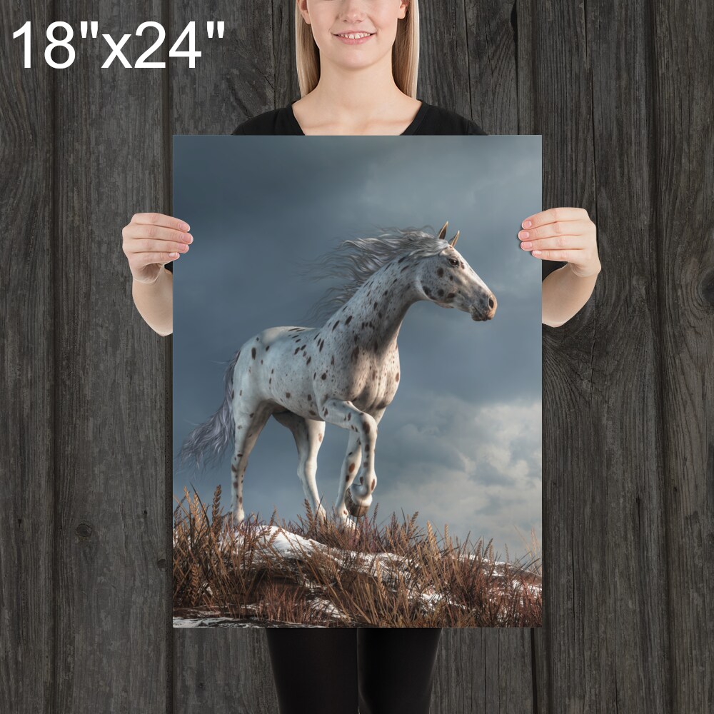 Wild Appaloosa in Winter - Print - Horse Themed Art product 5