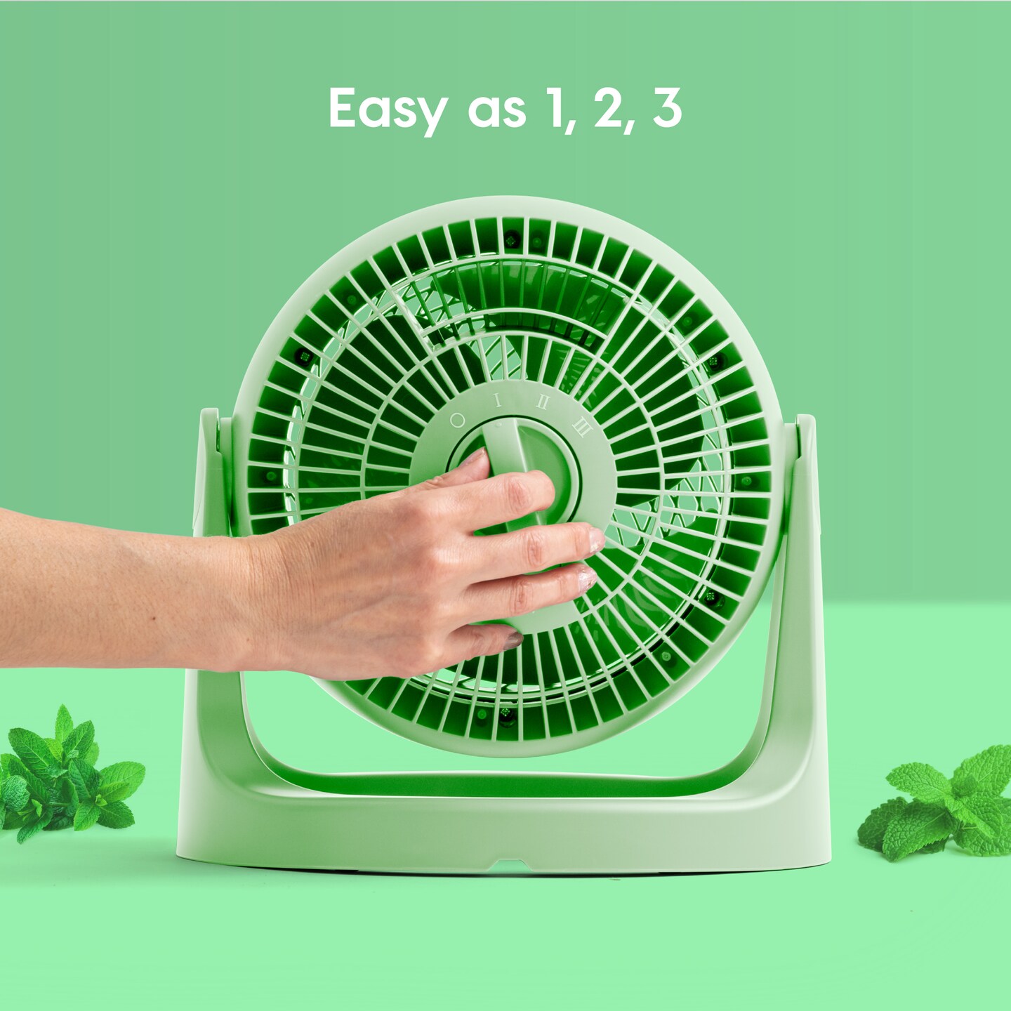IRIS USA WOOZOO Circulator Fan, Table Air Circulator, Desk Fan, Fan for Bedroom, 3 Speeds, 360° Adjustable