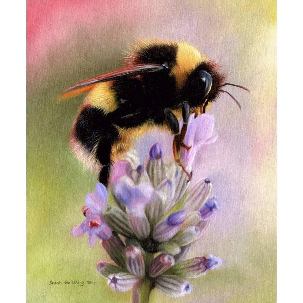 Bumble Bee On Flower Poster Print By Sarah Stribbling