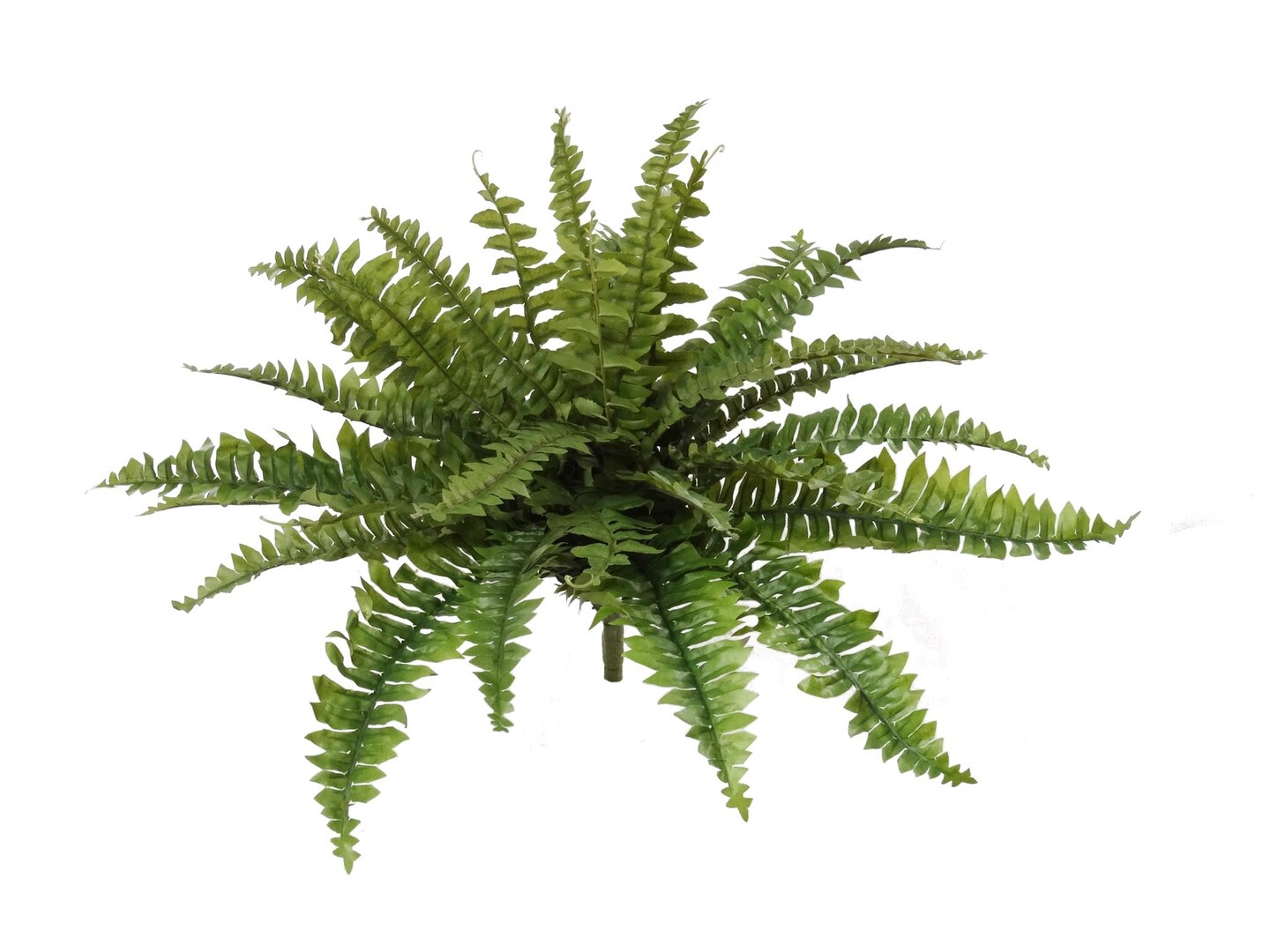 4-Pack: UV Boston Fern Plant with 27 Silk Fronds, 28&#x22; Wide by Floral Home&#xAE;