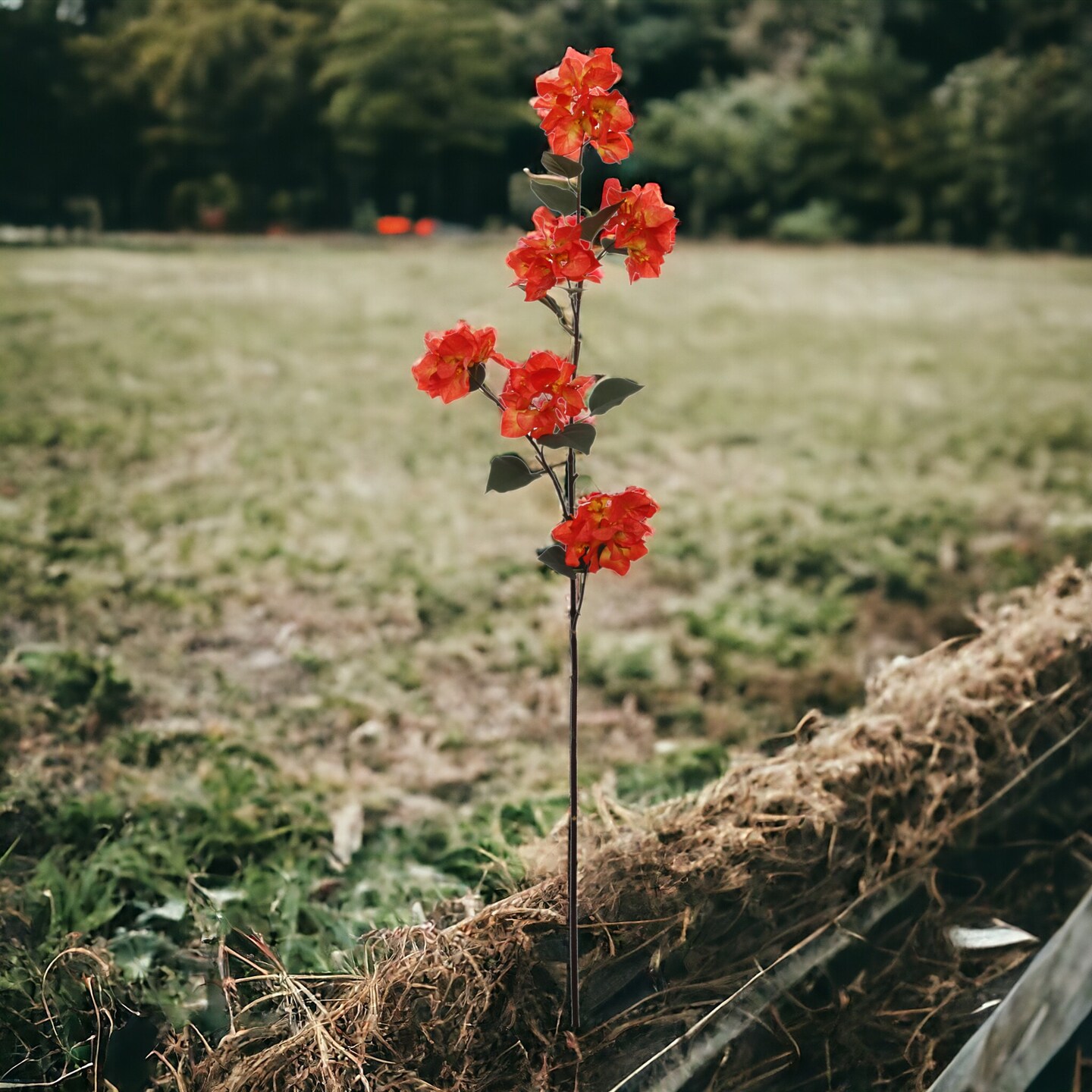 3-Pack: Orange Bougainvillea Stem with Lifelike Silk Flowers, Floral Home by Artificial Flowers