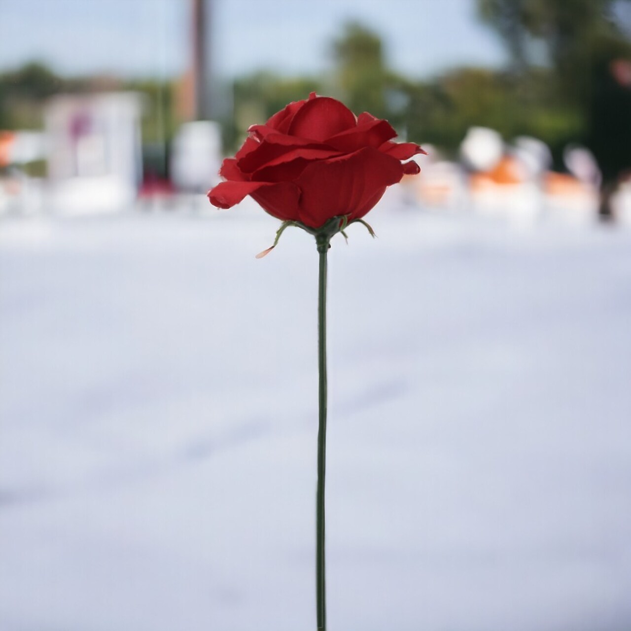 100-Pack: Burgundy Rose Picks, 8&#x22; Stems, 3&#x22; Wide, Floral Home by Artificial Flowers