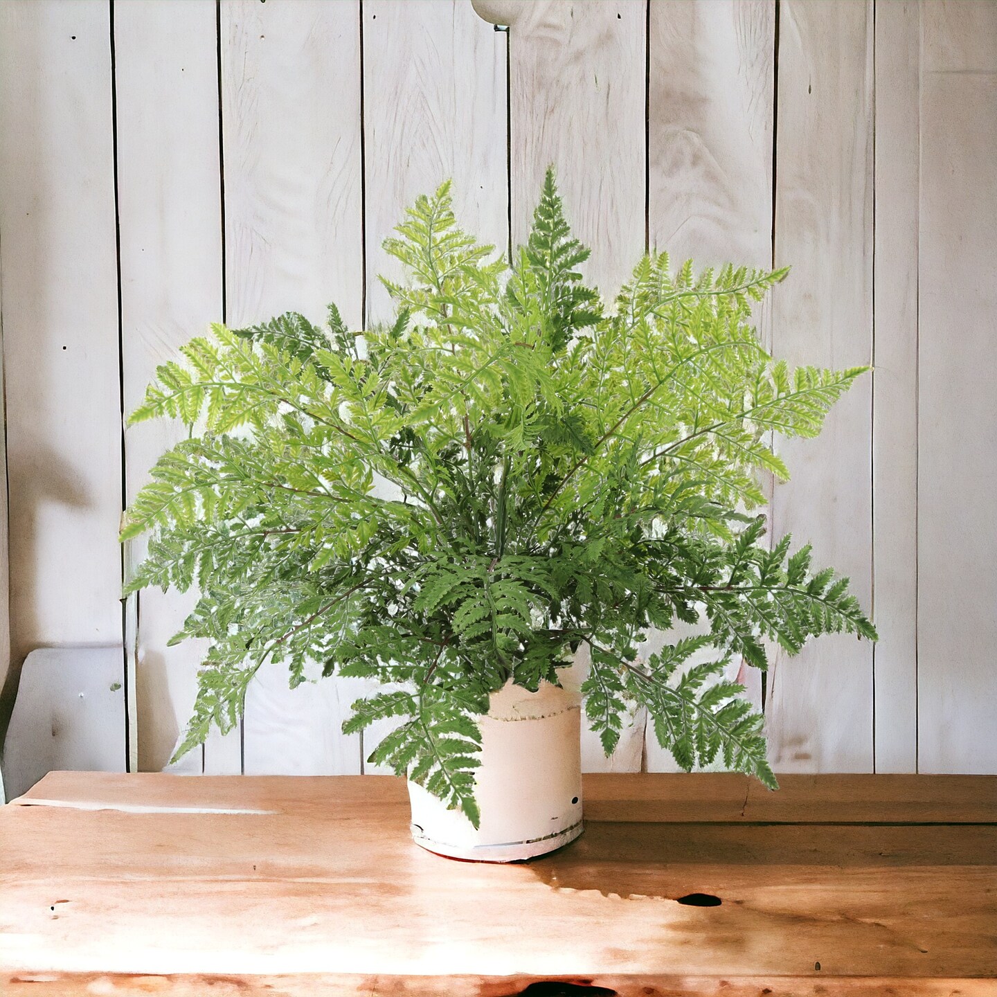 6-Pack: Leather Fern Bush with 7 Sprays, 28" Wide, Floral Home by Artificial Flowers