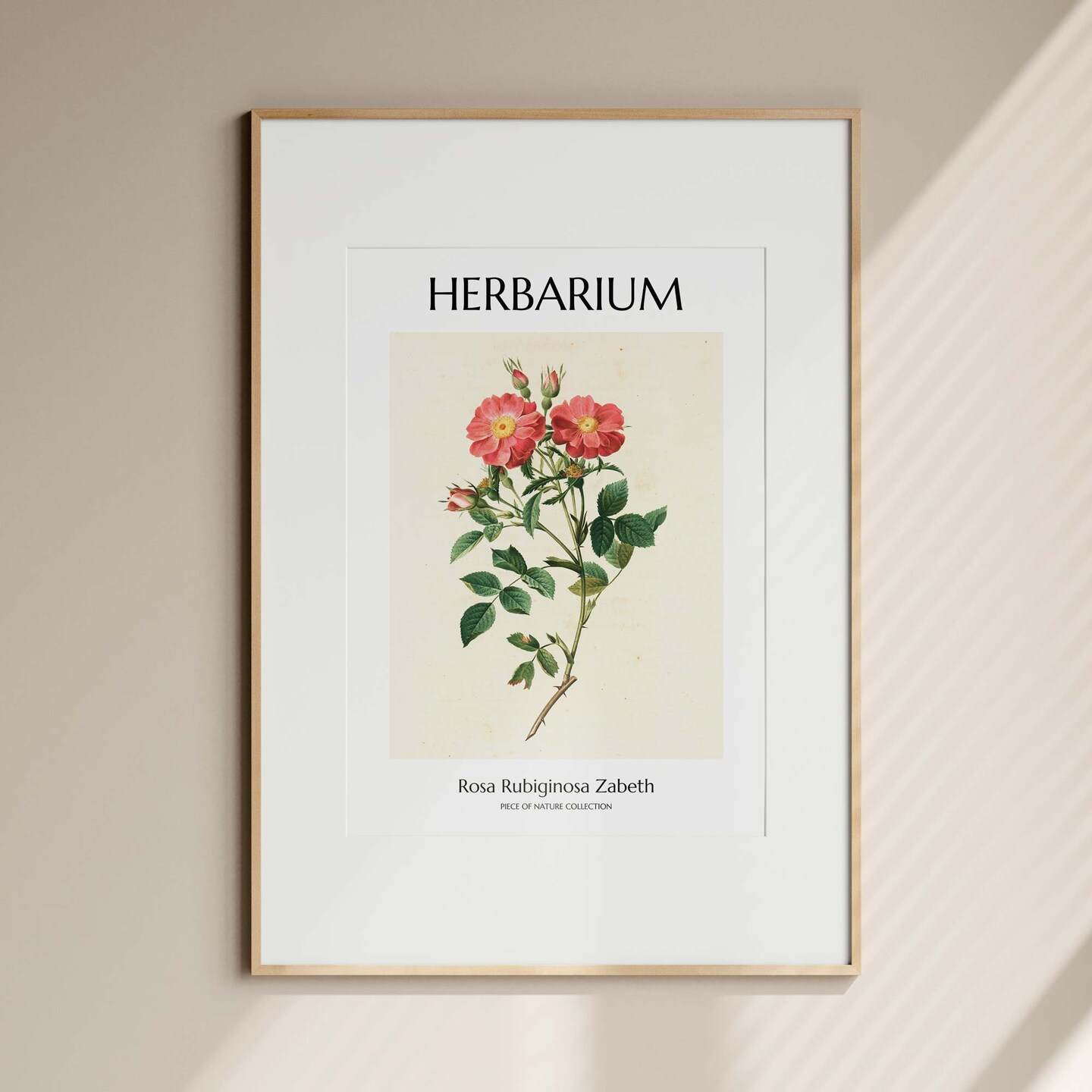 Rose Print Red Rose Poster Antique Flower Print Vintage Rose