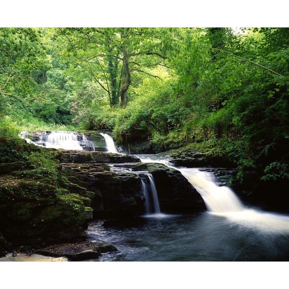 Clare Glens Co Limerick Ireland; Irish Landscape Poster Print