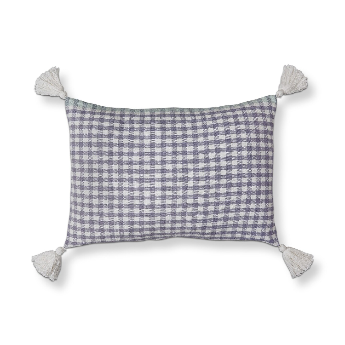 24&#x22; x 24&#x22; Blue Gingham Throw Pillow