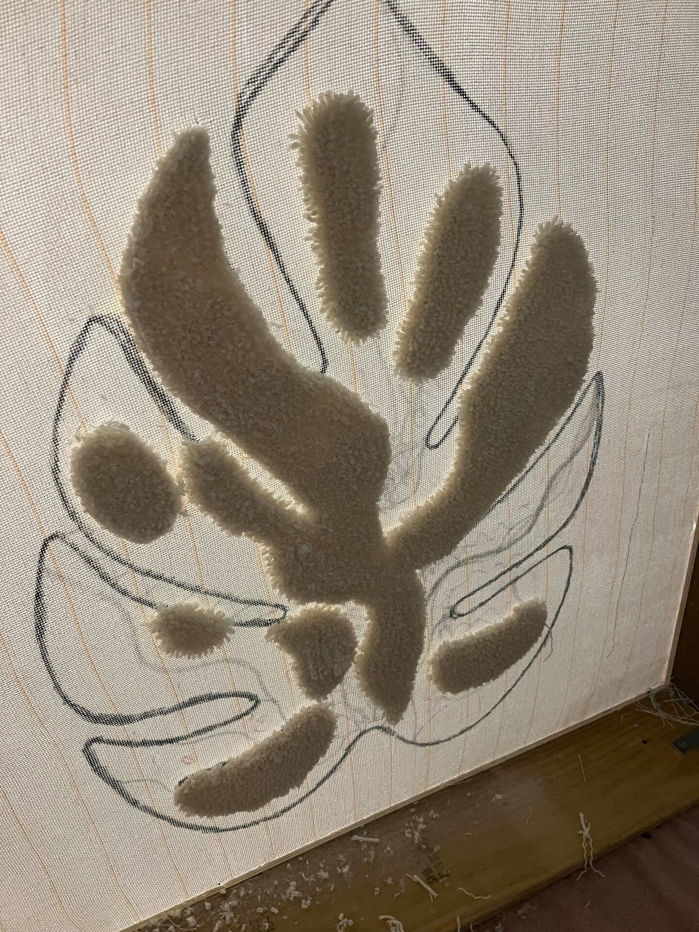 Learn to make your own amazing beautiful rugs