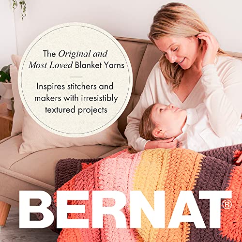Bernat Velvet Vapor Gray Yarn - 2 Pack of 300g/10.5oz - Polyester - 5 Bulky - 315 Yards - Knitting/Crochet