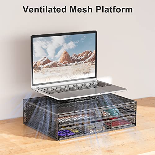 WALI Monitor Stand with Storage, Laptop Stand with Drawers Storage, Desk Organizer and Accessories for Office, Home, School, (STT006-B), Black