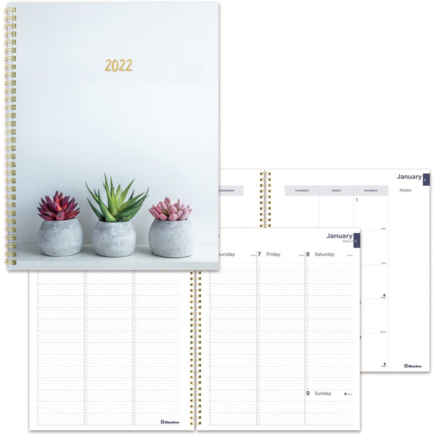 Rediform Succulent Design Weekly/Monthly Planner - Weekly, Monthly - 12 Month - January till December