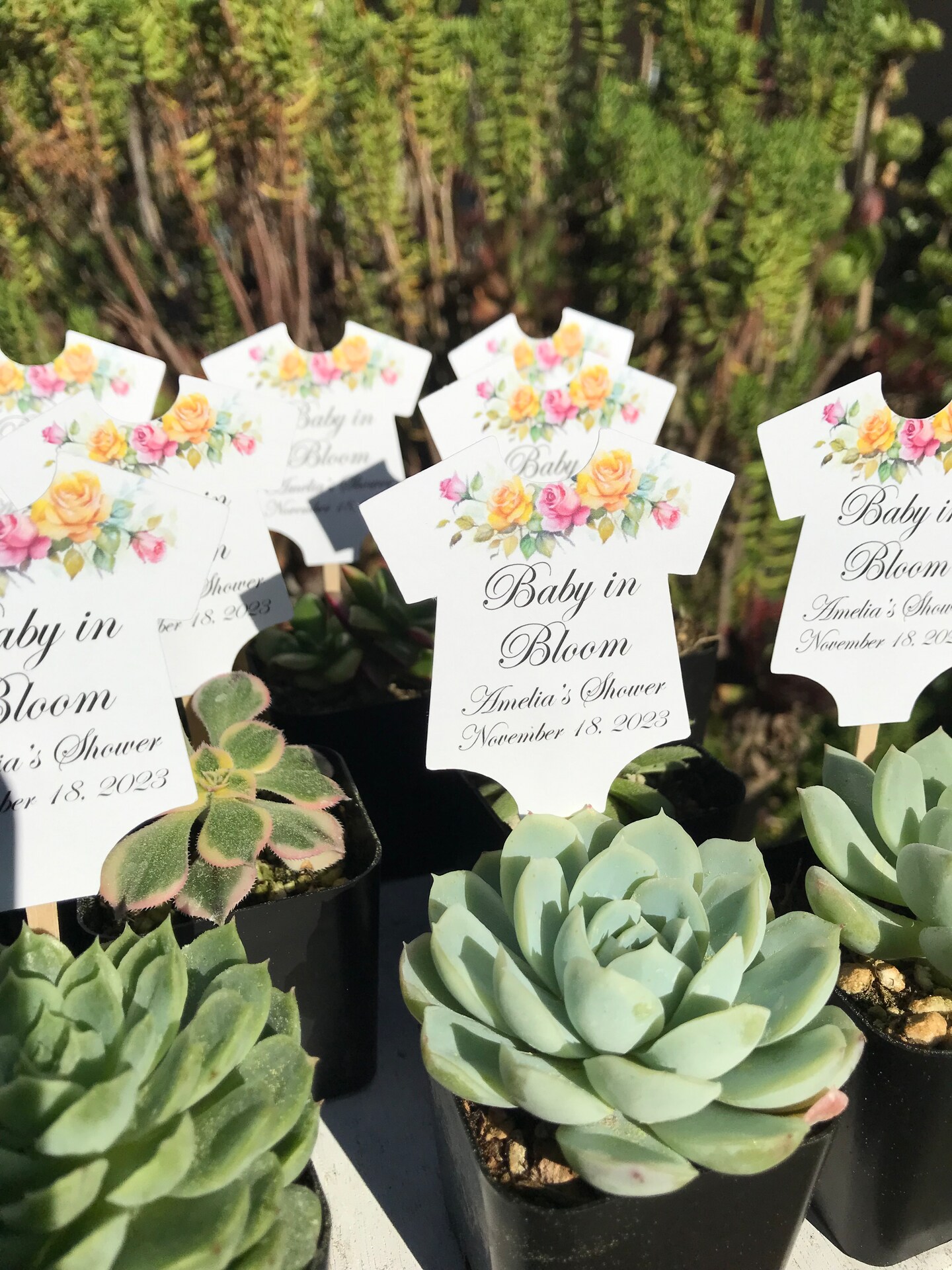 Baby Shower Favors Party Favors Tags Baby in Bloom Baby Shirt Design  Pink Yellow Roses Pack of 12