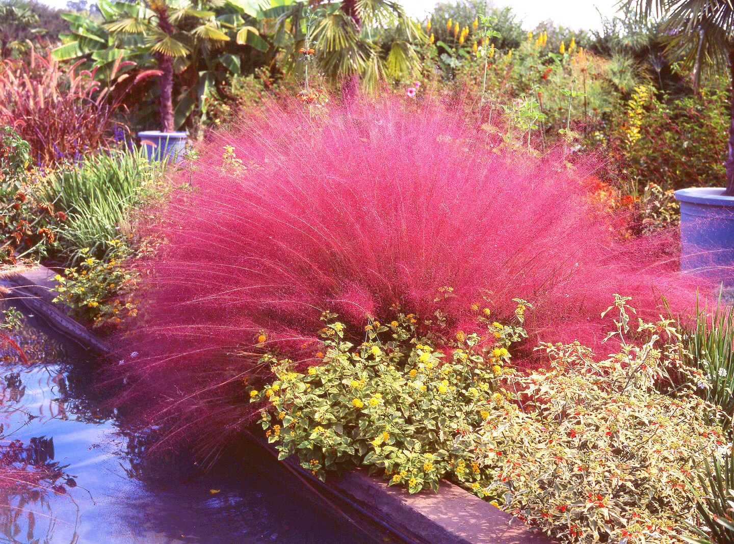 [EQUALBY] madeleine / pink muhly ☆ 20038571813648.jpg