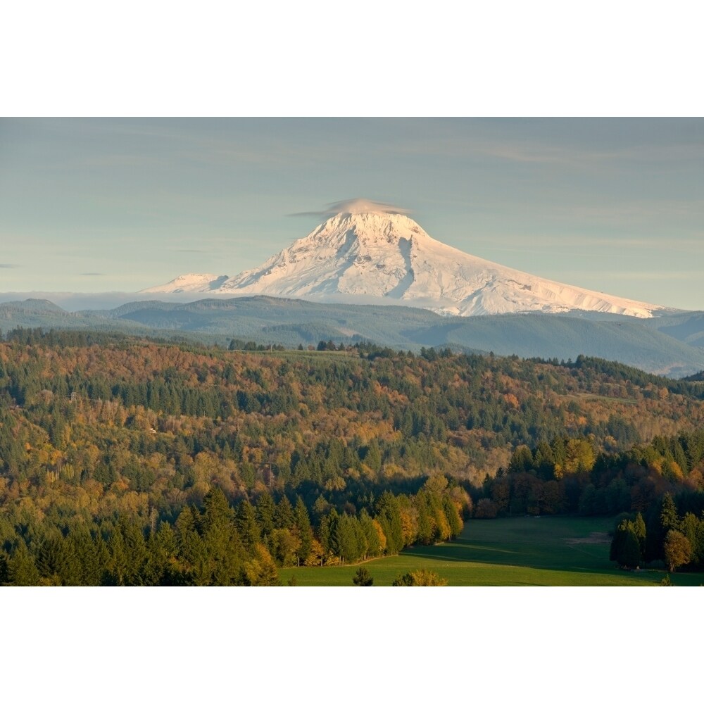 Trees On A Landscape With Mountain In The Background Mt Hood Jonsrud Viewpoint Sandy Clackamas County Oregon Usa 18 X 24