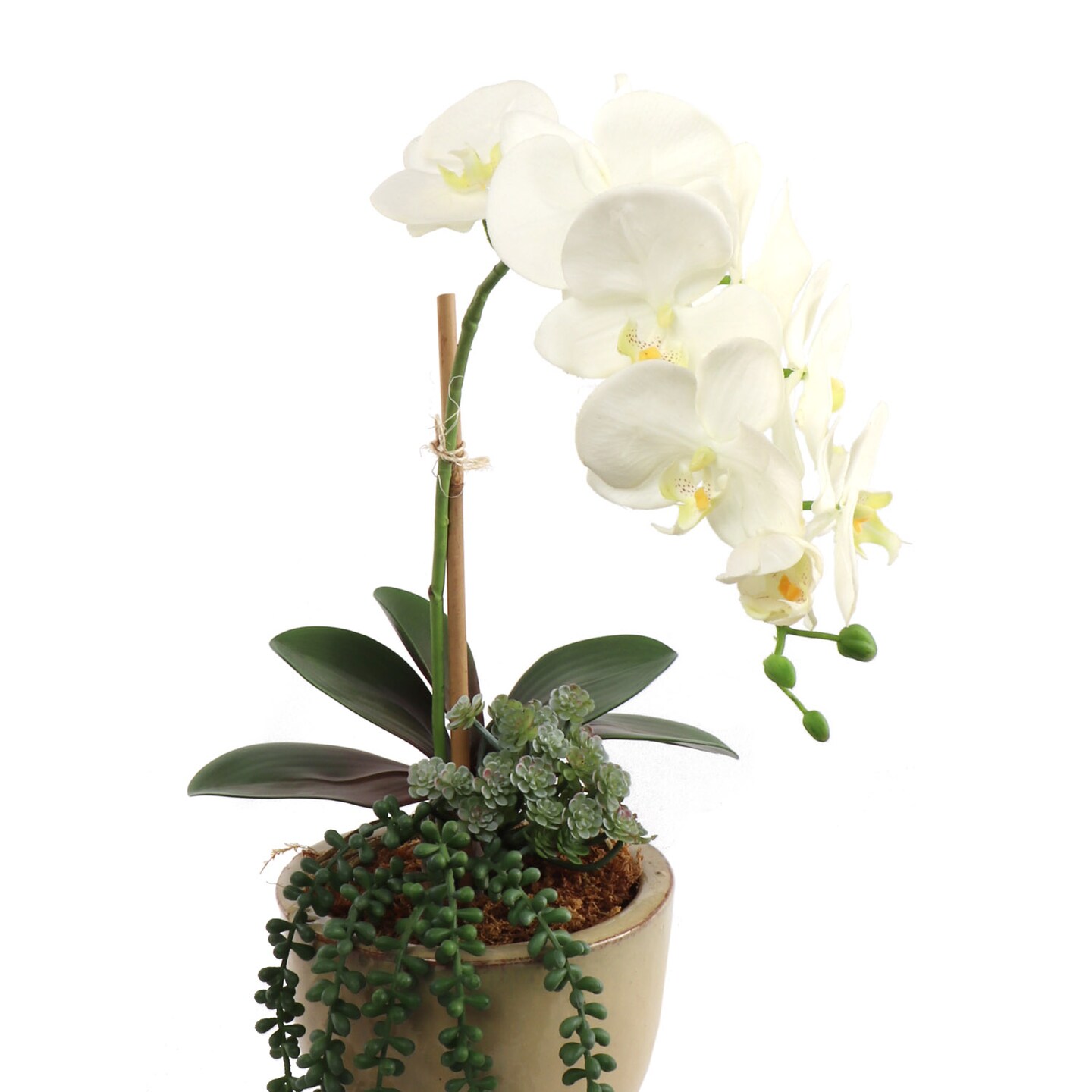 12-Pack: Real Touch White Phalaenopsis Orchid Stem, Floral Home by Artificial Flowers