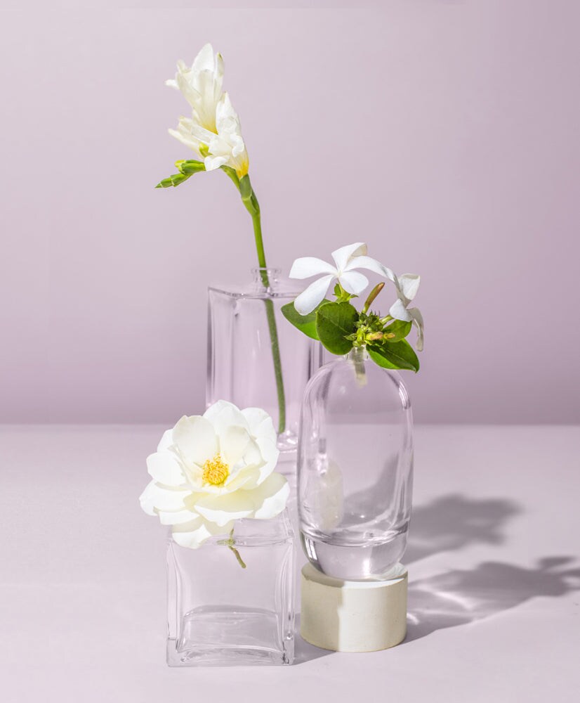 Tuberose Frangipani | Fragrance Oil for Candles, Soap