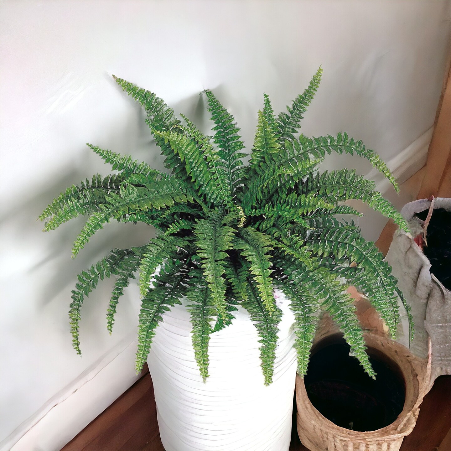 Boston Fern Plant: Set of 2, with 60 Silk Fronds, 48&#x22; Wide by Floral Home&#xAE;